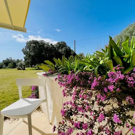 Villa Degli Ulivi